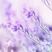 ヒメ日記 2025/09/29 23:46 投稿 なみえ 熟女総本店 日本橋ミナミエリア店