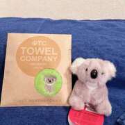 こあら 🐨 川崎ソープ　クリスタル京都南町