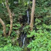 ヒメ日記 2024/12/13 13:11 投稿 さほ One More 奥様　西川口店