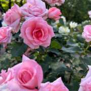 ヒメ日記 2024/12/20 16:25 投稿 さほ One More 奥様　西川口店