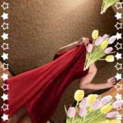 ヒメ日記 2025/02/01 01:44 投稿 ひろみ タレント倶楽部Around40