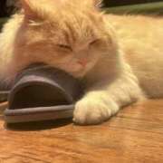 ヒメ日記 2025/05/08 20:09 投稿 一護まる やみつきエステ 渋谷店