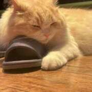 ヒメ日記 2025/06/19 20:40 投稿 一護まる やみつきエステ 渋谷店