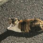 一護まる 指名 カルタ403 お礼💌 やみつきエステ 渋谷店