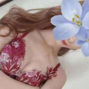 ヒメ日記 2026/04/15 13:24 投稿 玲美（れみ） ROYAL FACE FUKUOKA