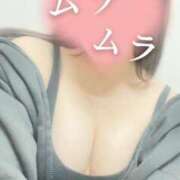 ヒメ日記 2025/04/29 12:05 投稿 さな奥様 なすがママされるがママ春日部