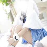 ヒメ日記 2025/11/14 16:54 投稿 しう チューリップ福井別館