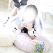 ヒメ日記 2025/11/15 11:05 投稿 しう チューリップ福井別館