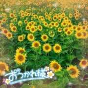 ヒメ日記 2025/08/12 21:29 投稿 ひな 完熟ばなな八王子