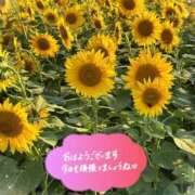 ヒメ日記 2025/08/25 10:33 投稿 ひな 完熟ばなな八王子