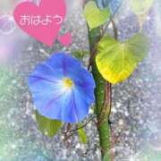 ヒメ日記 2025/09/16 10:19 投稿 ひな 完熟ばなな八王子