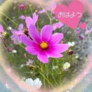 ヒメ日記 2025/09/26 10:19 投稿 ひな 完熟ばなな八王子