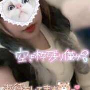 ヒメ日記 2024/12/14 17:19 投稿 かなめ☆その巨乳..反則級☆ ぽちゃぶらんか甲府店(カサブランカグループ)