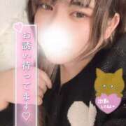 ヒメ日記 2025/02/03 19:23 投稿 かなめ☆その巨乳..反則級☆ ぽちゃぶらんか甲府店(カサブランカグループ)