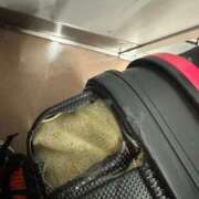 ヒメ日記 2024/12/27 18:40 投稿 さえ チューリップ土浦店