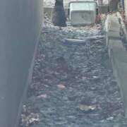 ヒメ日記 2025/01/22 19:20 投稿 さえ チューリップ土浦店