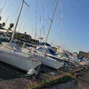 ヒメ日記 2025/04/05 07:40 投稿 さえ チューリップ土浦店