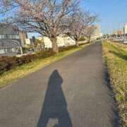 ヒメ日記 2025/04/06 06:01 投稿 さえ チューリップ土浦店