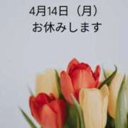 ヒメ日記 2025/04/13 15:23 投稿 さえ チューリップ土浦店