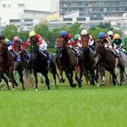 ヒメ日記 2025/04/18 08:40 投稿 さえ チューリップ土浦店