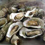 ヒメ日記 2025/04/18 18:00 投稿 さえ チューリップ土浦店