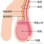 ヒメ日記 2025/05/20 13:38 投稿 さえ チューリップ土浦店