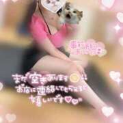 ヒメ日記 2025/01/25 21:00 投稿 もな 和楽(わらく)