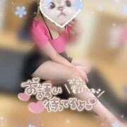 ヒメ日記 2025/01/26 15:05 投稿 もな 和楽(わらく)