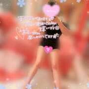 ヒメ日記 2025/02/24 19:31 投稿 もな 和楽(わらく)