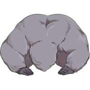 ヒメ日記 2025/07/18 11:09 投稿 もな 和楽(わらく)