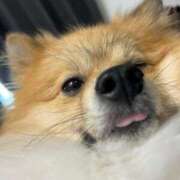 ヒメ日記 2025/07/21 13:13 投稿 もな 和楽(わらく)