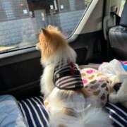 ヒメ日記 2025/10/18 15:02 投稿 もな 和楽(わらく)