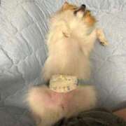 ヒメ日記 2025/10/20 15:25 投稿 もな 和楽(わらく)