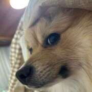 ヒメ日記 2026/01/24 11:36 投稿 もな 和楽(わらく)