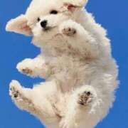 ヒメ日記 2025/07/02 23:08 投稿 りんか 熟女の風俗最終章 高崎店