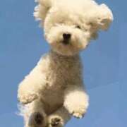 ヒメ日記 2025/07/03 11:48 投稿 りんか 熟女の風俗最終章 高崎店