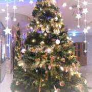 ヒメ日記 2024/12/12 12:20 投稿 みさき 人妻小旅行