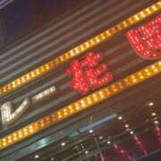 ヒメ日記 2025/03/09 01:00 投稿 ひとは モアグループ宇都宮人妻花壇