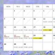 ヒメ日記 2026/08/29 09:01 投稿 キャリー★ 阿AUN呍(あうん)