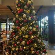 ヒメ日記 2024/12/12 20:53 投稿 しずく 熊本しこたまクリニック