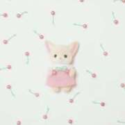 ヒメ日記 2024/12/14 07:33 投稿 しずく 熊本しこたまクリニック