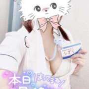 ヒメ日記 2024/12/16 09:23 投稿 しずく 熊本しこたまクリニック