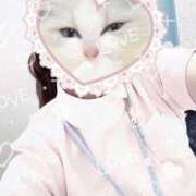 ヒメ日記 2025/01/14 08:53 投稿 しずく 熊本しこたまクリニック