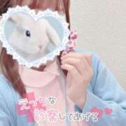 ヒメ日記 2025/01/14 14:33 投稿 しずく 熊本しこたまクリニック