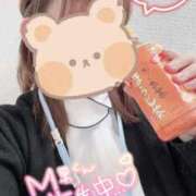 ヒメ日記 2025/02/24 14:15 投稿 しずく 熊本しこたまクリニック