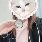 ヒメ日記 2025/02/25 10:23 投稿 しずく 熊本しこたまクリニック