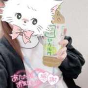 ヒメ日記 2025/03/20 20:03 投稿 しずく 熊本しこたまクリニック