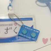 ヒメ日記 2025/03/22 18:29 投稿 しずく 熊本しこたまクリニック