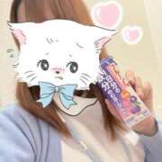 ヒメ日記 2025/03/24 10:43 投稿 しずく 熊本しこたまクリニック