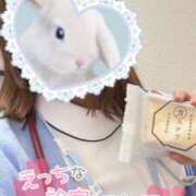 ヒメ日記 2025/04/10 21:23 投稿 しずく 熊本しこたまクリニック